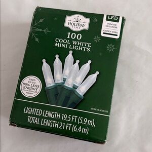 Holiday Time Festive cool white LED Lights 100 count indoor outdoor 9.5 ft New